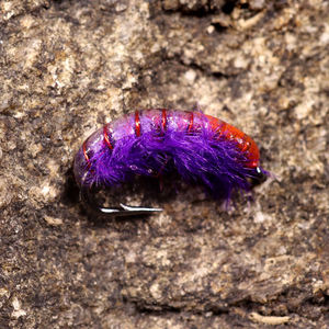Vente en gros de nymphes tchèques en vrac Scud Mouches à ver avec hameçon barbelé Pêche à la truite Appât à la mouche