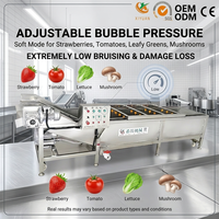 RVS bubbeltype fruit- en groentewas- en droogmachine met transportbandontwerp