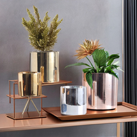 Pot en céramique électroplaqué moderne Kit de jardinière de fleurs Design de salon Fonction pratique Décor de bureau à domicile Boîtes d'emballage à usage hôtelier