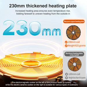 Cocina de Inducción Eléctrica Revolucionaria de 2 Placas, Diseño Integrado para <span class=keywords><strong>Encimera</strong></span>, 2500W, Calor Instantáneo, Control Táctil, para el Hogar - Product Image 4