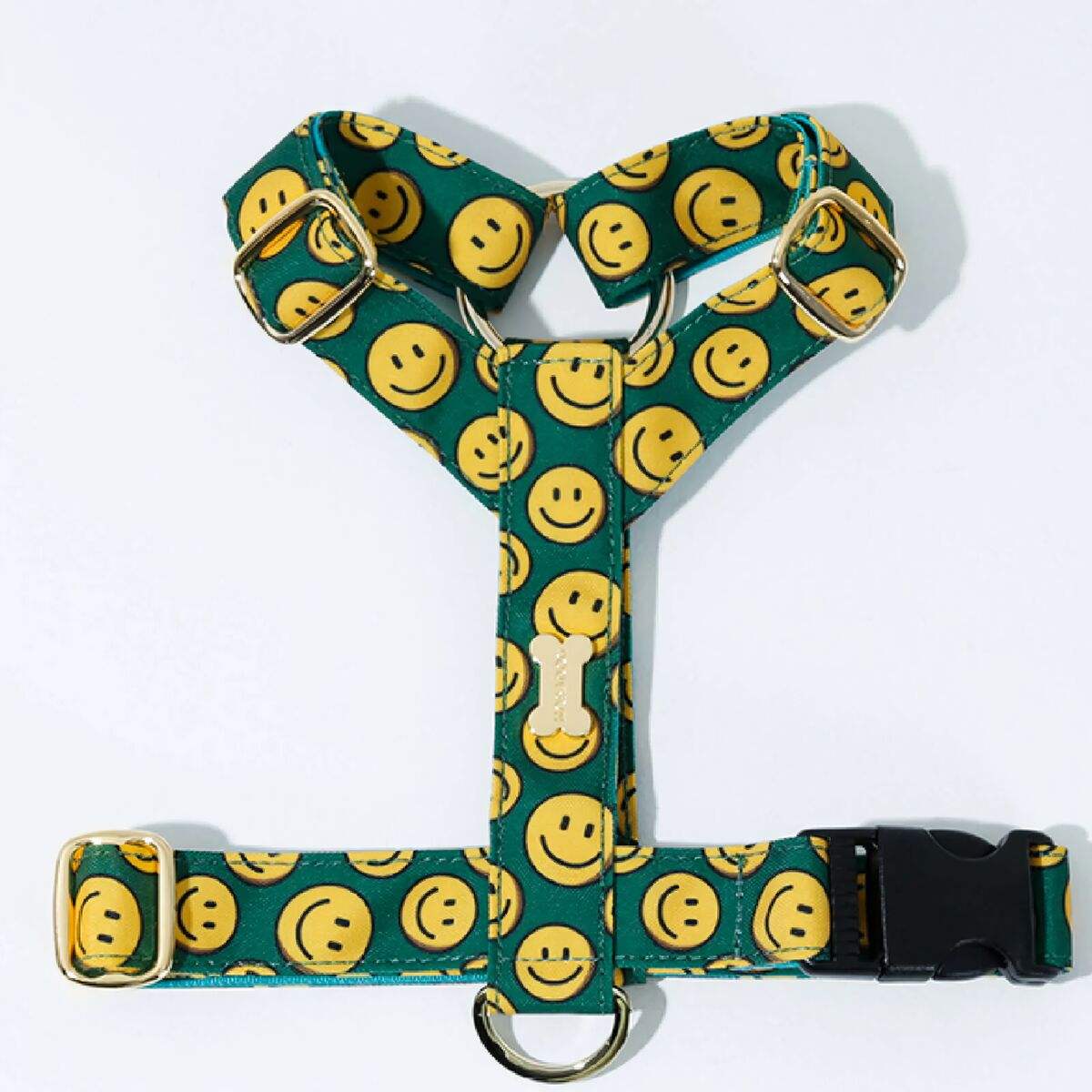 รอยยิ้มประเภท H