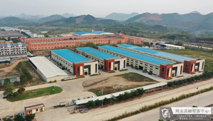 Tapis de jeu éducatif HONLOY pour enfants, tapis de jeu de <span class=keywords><strong>marelle</strong></span>, jouet sportif et doux, mousse EVA non toxique, 2 cm d'épaisseur, certifié CE - Product Image 4