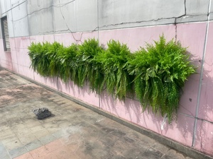 Certificata artificiale appesa <span class=keywords><strong>felci</strong></span> e viti resistente all'aperto erba finta plastica edera pianta appesa certificata resistente - Product Image 5