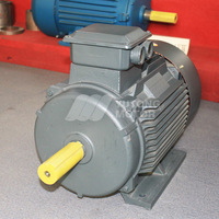 Moteur asynchrone à induction triphasé 220V AC 50Hz 0,75KW/1HP IP55 IE2 à enroulement en cuivre