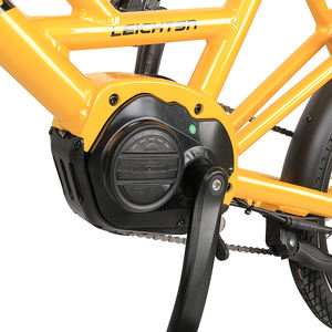 Bicicletta Elettrica per Consegne Fast Food ODM/OEM, Trasporta Due Bambini, <span class=keywords><strong>Bici</strong></span> da Città, E-Bike Urbana con Sedile - Product Image 2