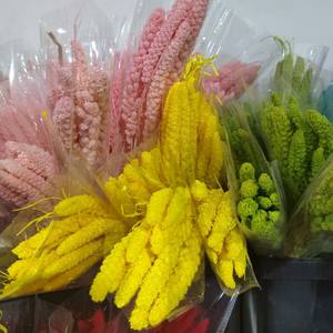 <span class=keywords><strong>Millet</strong></span> oreilles vie éternelle fleurs décoration de la maison bricolage photographie ornement vie éternelle <span class=keywords><strong>Millet</strong></span> oreilles <span class=keywords><strong>Millet</strong></span> fleurs séchées - Product Image 6