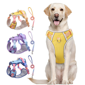 <b>Pet</b> <b>Harness</b> With Leash Adjustable Breathable Polyester For Small Medium Large Dogs Fruit Pattern Buckle Closure - Product Image 2
