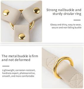 Charm Pvc Custom Own Logo Beige Collar Lead Set Arnés para perros Beige con plomo - Product Image 4