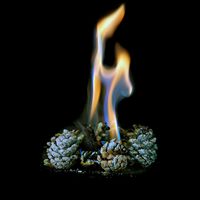 Magisches Feuer Natürliche Tannenzapfen für Abschlussfeier, Neujahr, Erntedankfest, Ostern, Partys, Garten, Camping, Weihnachtsdekoration, Feuerpulver