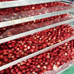 Tùy Chỉnh Bán Buôn Ngọt Ngào Snack Đông Lạnh Dâu Tây Trái Cây Số Lượng Lớn Fd Trái Cây Khô Toàn Bộ Dâu Tây - Product Image 2