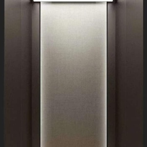 Ascensor Residencial para Viviendas con Puerta Automática, Sensor de Seguridad, Acero Inoxidable y Aluminio, Capacidad de 400 kg - Product Image 1