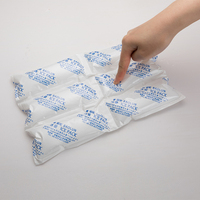 Pack de glace sèche Super absorbante, nouvelle vente 2023, pour la livraison de nourriture
