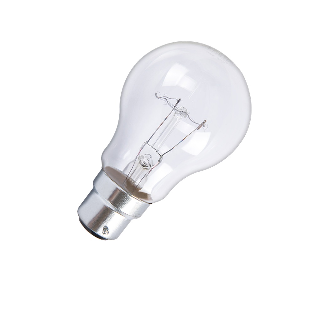 Pin Type Clear Lamp 55Mm 60W 75W 100W Gloeilamp