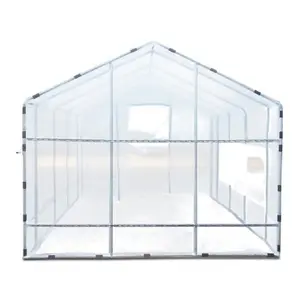 Solar agricultural greenhouse with anti insect net for vegetable Plastic Film Greenhouse double layer plastic greenhouse