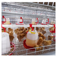Nouvel équipement d'élevage avicole en acier galvanisé de type H, poulailler pour poulettes et jeunes poulets avec une longue durée de vie