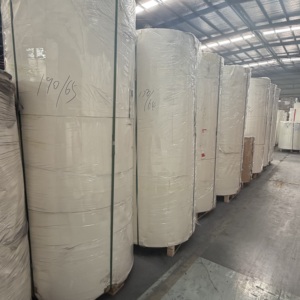 Rouleau de fond de gobelet en papier enduit de PE, anti-fuite, impression flexo, diamètre personnalisé pour la fabrication de fonds de gobelets et de bols en papier, approvisionnement en gros - Product Image 1