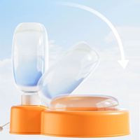 Nouvelle bouteille d'eau portable pour animaux de compagnie tasse d'eau pliante pour chiens fournitures d'eau en plein air pour animaux de compagnie