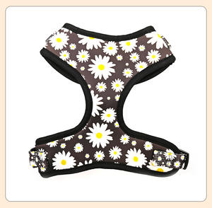 Großhandel: Maßgeschneidertes Hundegeschirr-Set mit Leine – Atmungsaktives, verstellbares, bedrucktes Hundegeschirr für Spaziergänge, ausbruchsicher, strapazierfähig - Product Image 4