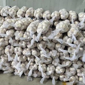 กระเทียมสด ขนาด 5.0-5.5 ซม. ผัก 10 กก. บรรจุกล่อง ราคาส่งออก - Product Image 2