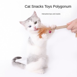 ของเล่นเคี้ยวรูปทรงก้างปลาสำหรับแมว ทำจากผลโพลีโกนัม มัลติฟลอรัม พร้อมแท่งสำหรับกัดแทะและกระตุ้นการกัด - Product Image 3