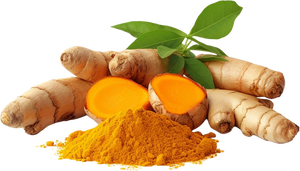 फैक्टरी थोक हल्दी आवश्यक तेल विरोधी शरीर की देखभाल के लिए शरीर की देखभाल के लिए त्वचा के बालों की देखभाल के तेल को सफेद करना - Product Image 6