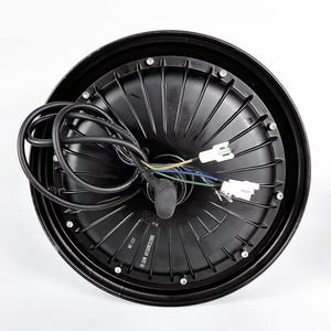 48v Other Parts E Bike Ebike