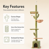 En gros Arbre à chat écologique en forme de cactus, tour pour chat du sol au plafond, avec niche pour chat, griffoir multi-niveaux, emballage en carton