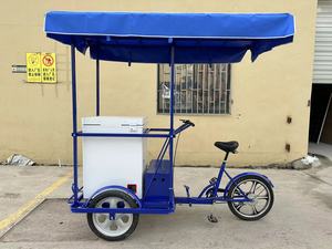 DC 12 v24v 108 litri <span class=keywords><strong>tre</strong></span> <span class=keywords><strong>ruote</strong></span> gelato solare <span class=keywords><strong>bicicletta</strong></span> risciò gelateria raffreddamento a baldacchino bevande colore personalizzato - Product Image 3