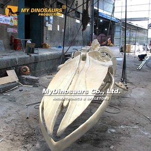 V Sợi Thủy Tinh Nhựa Màu Xanh Cá Voi Mô Hình Xương Để Bán - Product Image 4