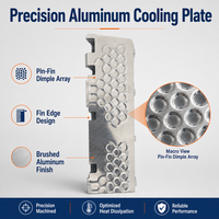 Plaque froide soufflée en alliage d'aluminium à liaison par rouleaux pour dissipation thermique de station de base 5G, spécifications personnalisées