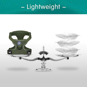 La Linea Luminosa è Chiaramente Visibile Sotto la Luce Pettorina Riflettente per Addestramento Cani di Taglia Grande e Media - Product Image 2