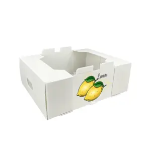 Boîte de citron en plastique ondulé Boîte d'emballage de gombo frais en plastique ondulé Boîte en plastique ondulé