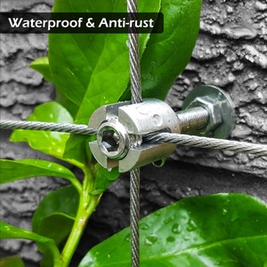 <span class=keywords><strong>Serre</strong></span>-câbles en acier inoxydable 316 pour plantes grimpantes d'extérieur et grille en rotin - Product Image 3