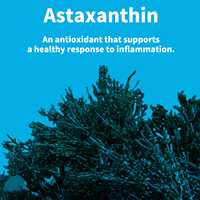 Compre en Paquetes Grandes Cápsulas Blandas de Astaxantina y CoQ10 de Alta Calidad con Aceite de Girasol que Favorecen la Circulación Saludable y la Salud Cognitiva