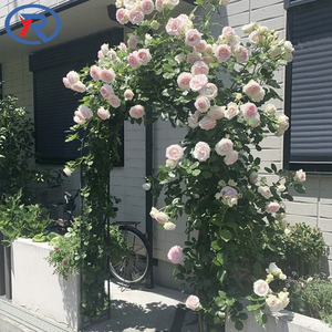 Arche de treillis de jardin en métal <span class=keywords><strong>pour</strong></span> l'extérieur Arche décorative de mariage avec plantes à fleurs Support d'escalade Arche de jardin - Product Image 3