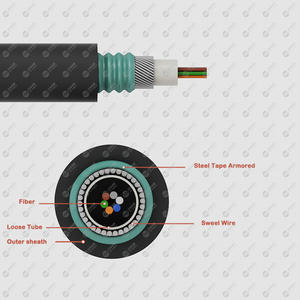 Câble à fibres optiques blindé en ruban GYDTS 48 72 96 <span class=keywords><strong>144</strong></span> 192 288 360 576 cœurs <span class=keywords><strong>Fo</strong></span> Hilo F GYDTA pour installation souterraine directe, aérienne et extérieure - Product Image 2