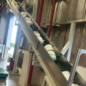 Línea Transportadora Automática para Hilos Textiles con Voltaje de 220V/380V y Capacidad Personalizada para Hilandería - Product Image 1