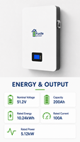 Batterie LiFePO4 murale 51,2 V 200 Ah 10,24 kWh avec BMS intégré, 6000 cycles, RS485 CAN RS232 pour stockage d'énergie solaire domestique