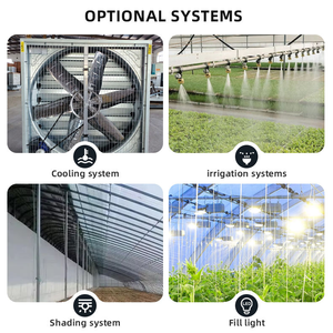 Serre agricole à faible coût à simple portée pour l'hivernage des plantes, mur en briques, isolation, structure de serre - Product Image 6