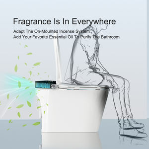 Toilette intelligente Hwell, nettoyage <span class=keywords><strong>automatique</strong></span>, toilette intelligente personnalisée, <span class=keywords><strong>détection</strong></span> d'urine masculine, chasse d'eau, nettoyage féminin, WC - Product Image 6