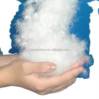 Duvet d'oie blanche