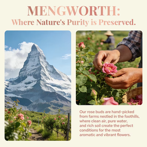 Té de Hierbas de Capullos de Rosa Secos Alpenliebe OEM, 100% Puro, Sin Aditivos Artificiales, Té Natural para la Belleza, en Bolsitas, Caja/Bolsa, 50g - Product Image 6