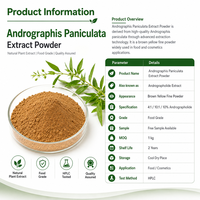 YUSAIL Ingrédient en vrac pour compléments alimentaires : Poudre d'extrait d'Andrographis Paniculata 10:1, Andrographolide, Extrait végétal naturel HPLC