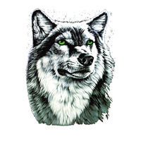 Film PET pour transfert thermique DTF, prêt à imprimer, impression numérique, couleurs vives, résistant au lavage, pour t-shirts et sweats à capuche