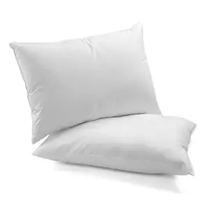 Fabricant hypoallergénique personnalisé 100% coton le canard et l'oie oreiller de lit de luxe en duvet blanc pour dormir