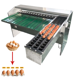 2000-30000 Pcs/Hour Industrial <b>Egg</b> Vegetable/Fruit Grading Sorting <b>Machine</b> 304 Stainless Steel Automatic Customizable 1-Year - Product Image 1