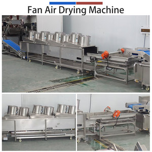 FENGXIANG Bean Processing Line Automatic Stem Removing, Washing, Cutting, <b>Drying</b> Machine 1000kg/h Vegetable Production <b>Equipment</b> - Product Image 3