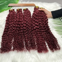 Lots de Cheveux Brésiliens Vierges Rouge 99J Bouclés Profonds de Luxe, Cheveux Bruts Doublement Tirés avec Cuticules Alignées, Fournisseurs de Cheveux Vierges
