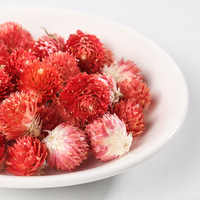 Vente en gros d'herbe chinoise hong qiao mei Vente à chaud globe rouge amarante tisane à la prune astucieuse thé aux fleurs pour les femmes