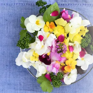 Mehrfarbige feste Export essbare Blüten blätter Blumen Kuchen Dekoration